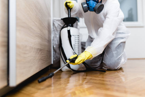 Best Bed Bug Extermination  in Washgton, IN