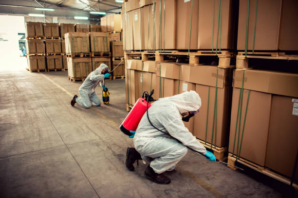 Best Exterminator Services  in Washgton, IN