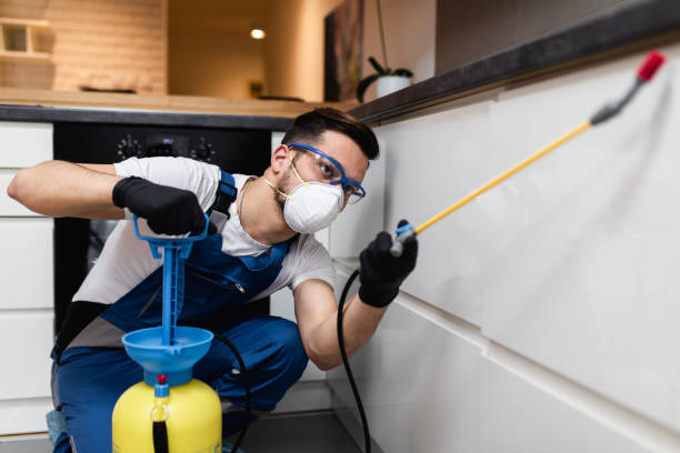 Best Affordable Pest Control Services  in Washgton, IN