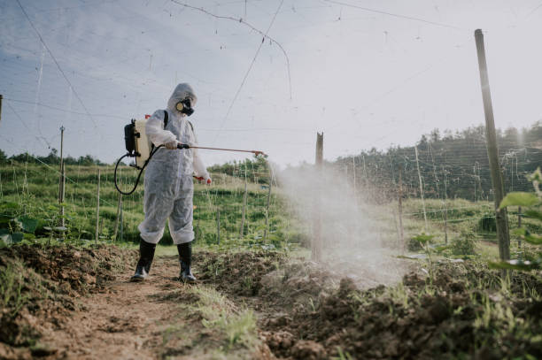 Best Commercial Pest Control Services  in Washgton, IN