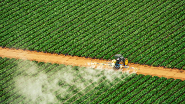 Best Ant Control Services  in Washgton, IN