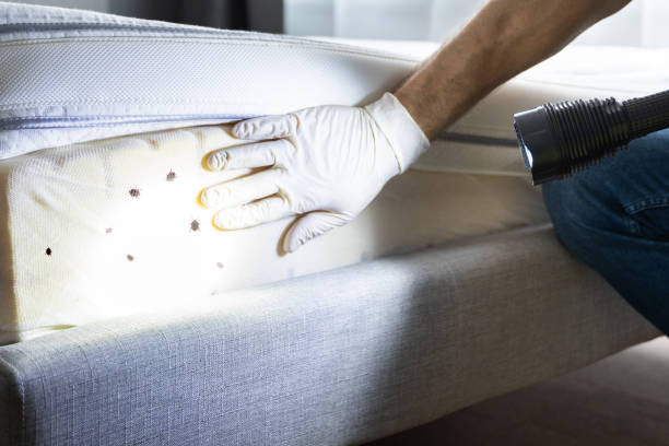 Professional Pest Control in Washington, IN
