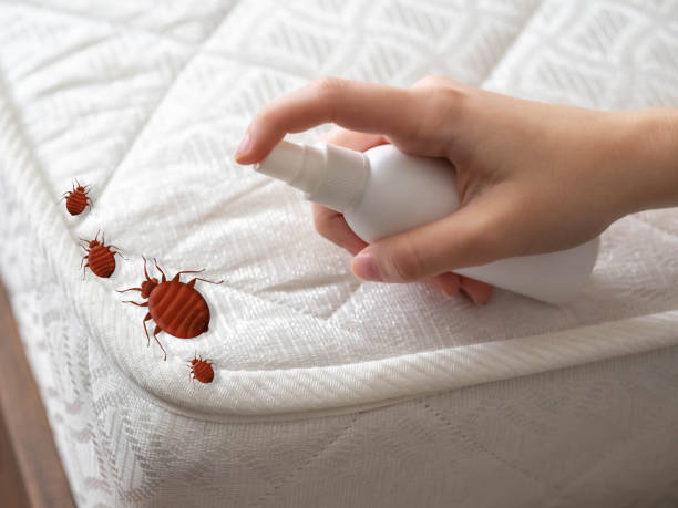 Best Pest Removal Services  in Washgton, IN