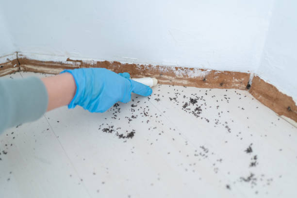 Best Affordable Pest Control Services  in Washgton, IN