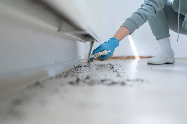 Best Local Pest Control Services  in Washgton, IN